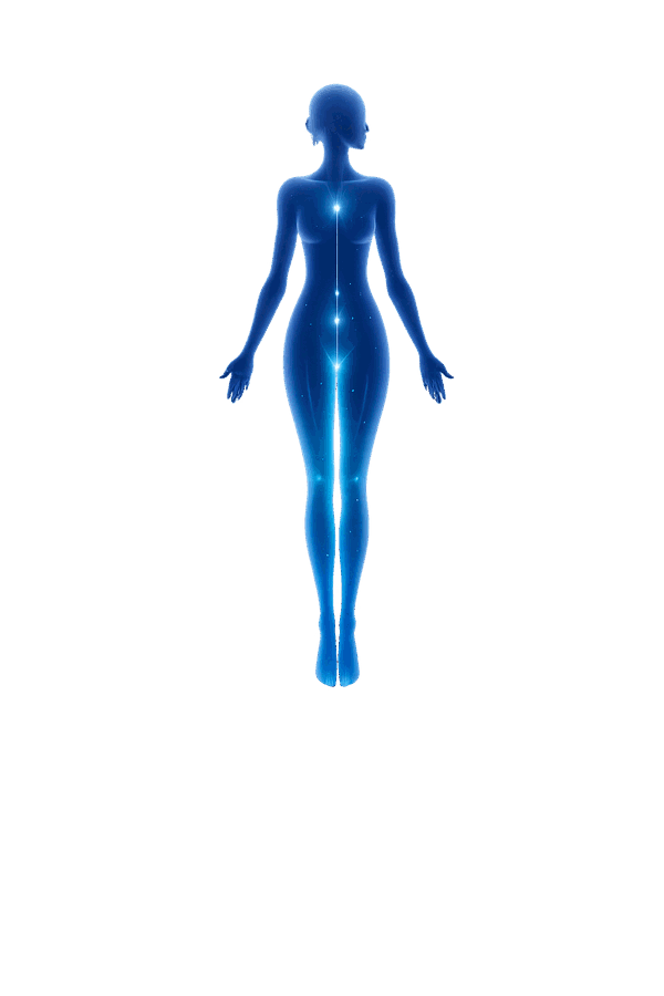 Illustration for the Naturopathic Consultation service at Prime Integrative Health